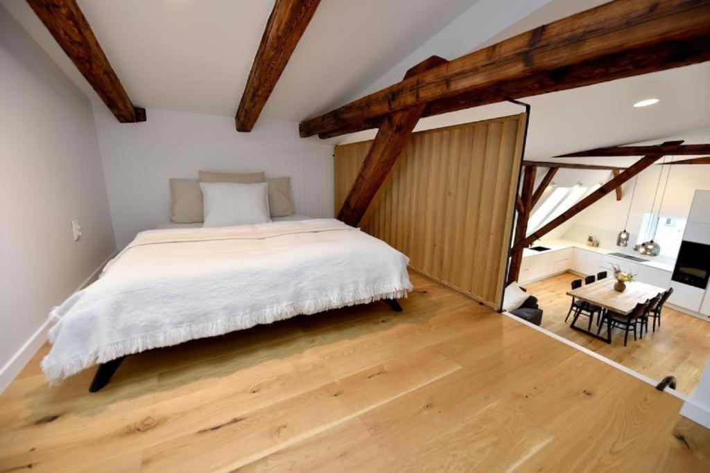 Apartman 1901 Trenčín Εξωτερικό φωτογραφία